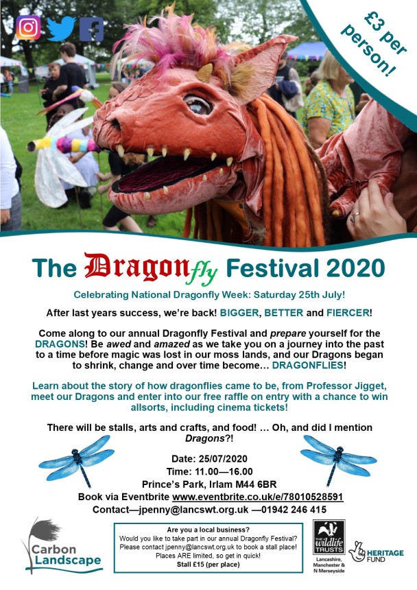 Dragonfly Festival Advertisement Poster